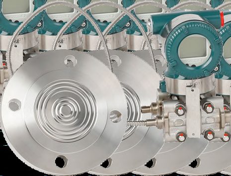 Diaphragm Seal Replacement image 1