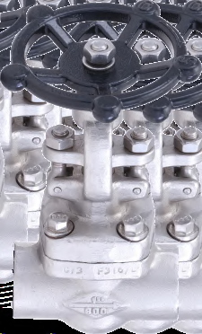 Gate, Globe & Check Valves image 1